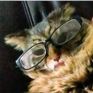 Meet your Posher, Denise